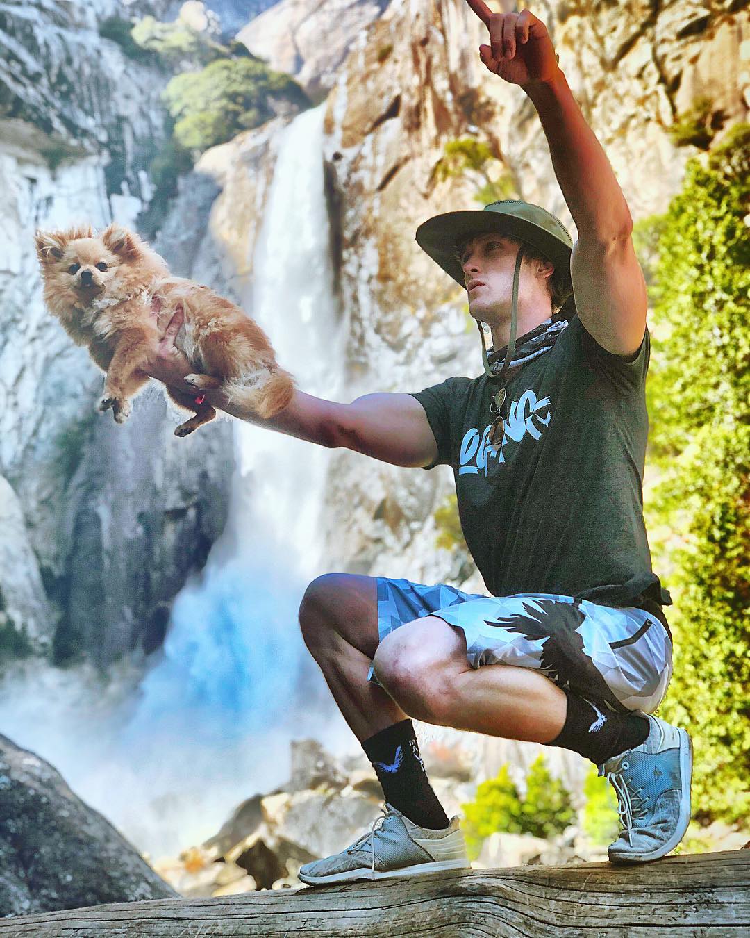 Logan Paul�un köpeği Kong da Savage, hayatını kaybetti! Magazin Tube